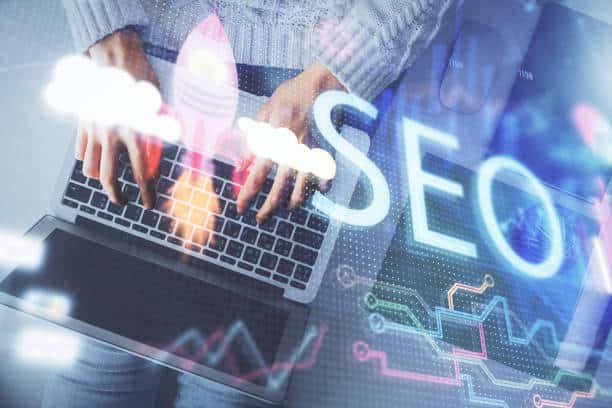 pest control seo